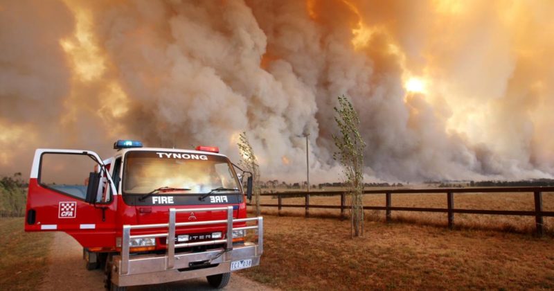 Bushfire affected sponsors and visa holders